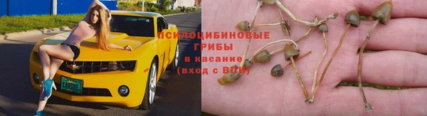 трава Абинск