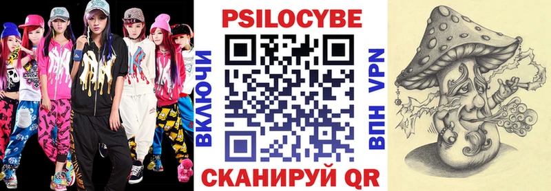 Галлюциногенные грибы Psilocybine cubensis Шебекино