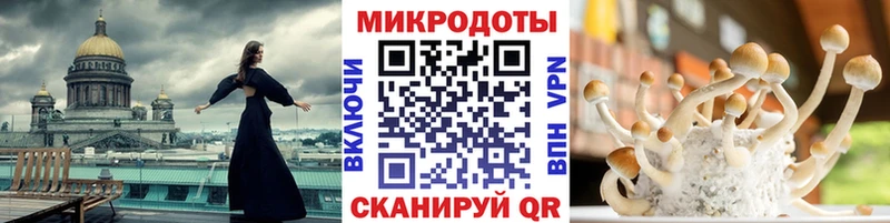 купить наркотик  ОМГ ОМГ   Псилоцибиновые грибы MAGIC MUSHROOMS  Шебекино 