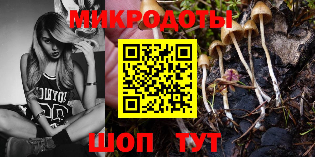 Псилоцибиновые грибы прущие грибы  Вход с VPN  Шебекино 