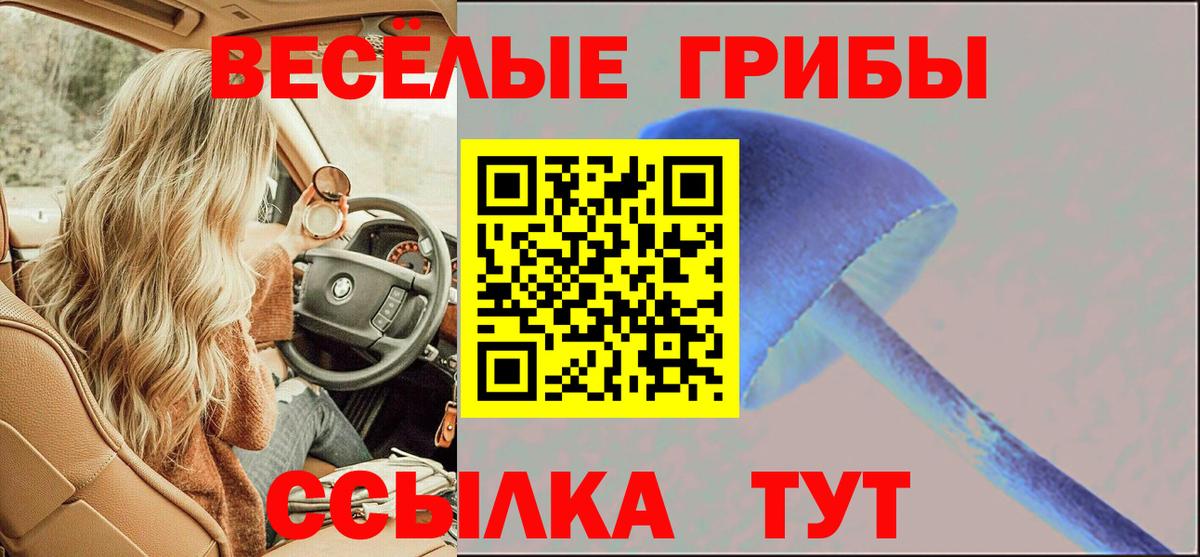 Галлюциногенные грибы Magic Shrooms Шебекино